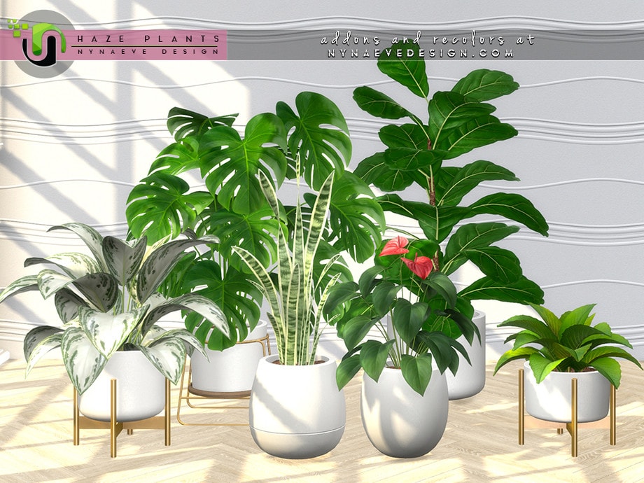 Haze Plants