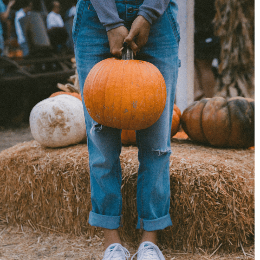 A person holding a medium size pumpkin