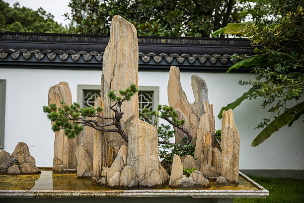 A bonsai tree integrated into a penjing landscape, illustrating scenes similar to those described in bonsai trees in literature.