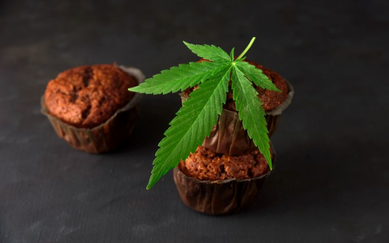 cannabis brownie