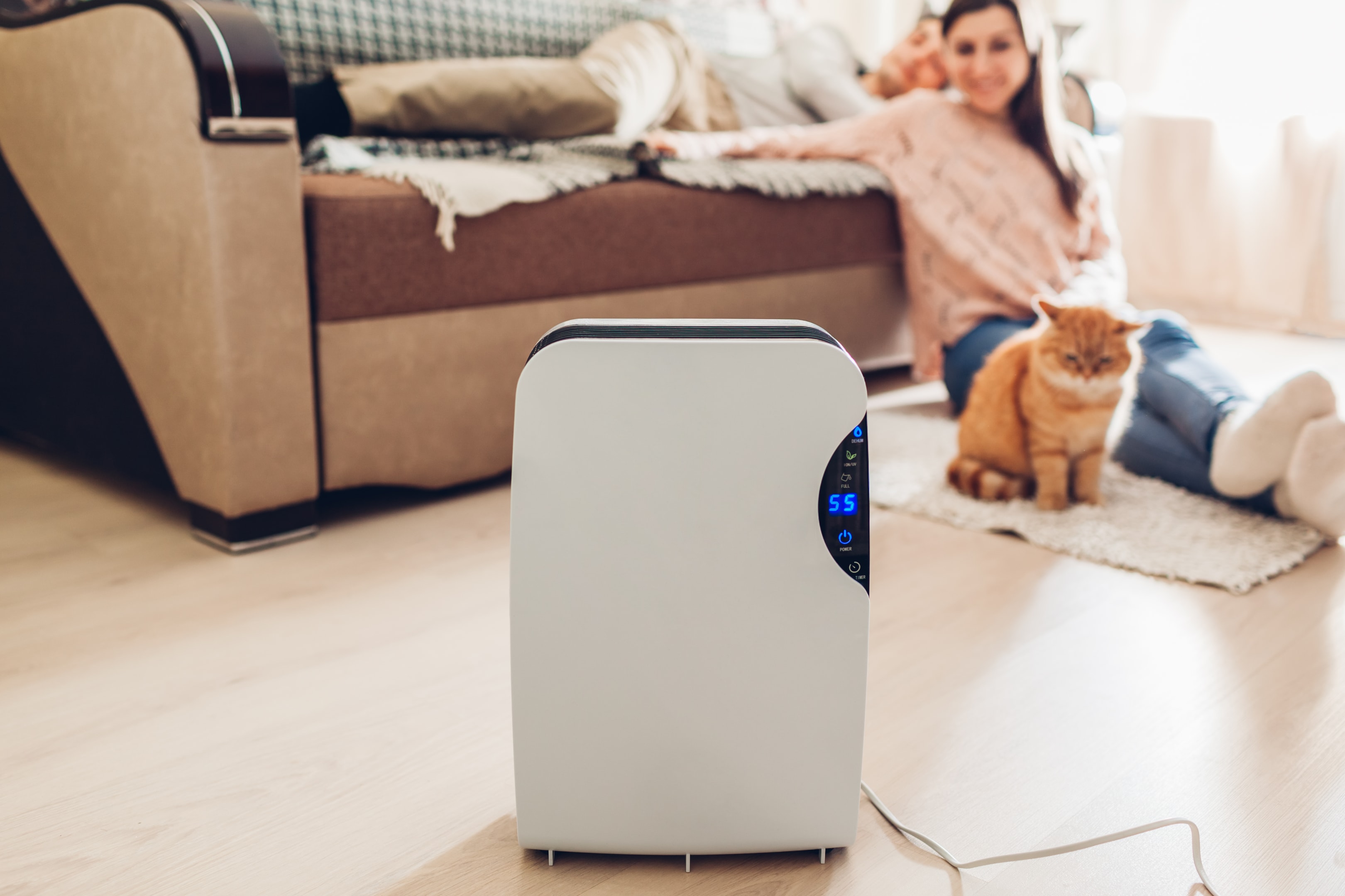 Improve indoor air quality by investing in a high-efficiency particulate air (HEPA) purifier.