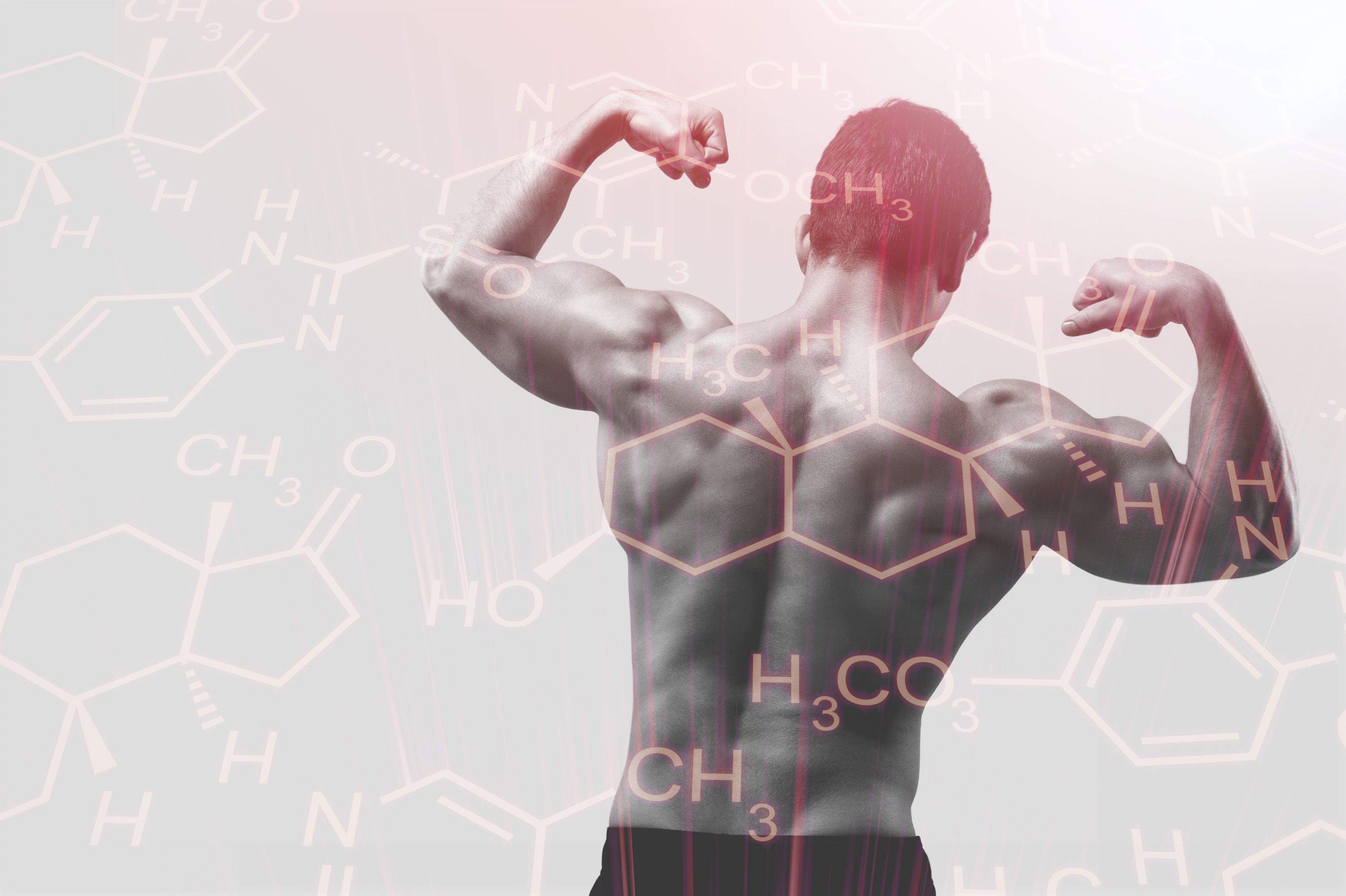 Il testosterone ti mantiene energico e motivato.