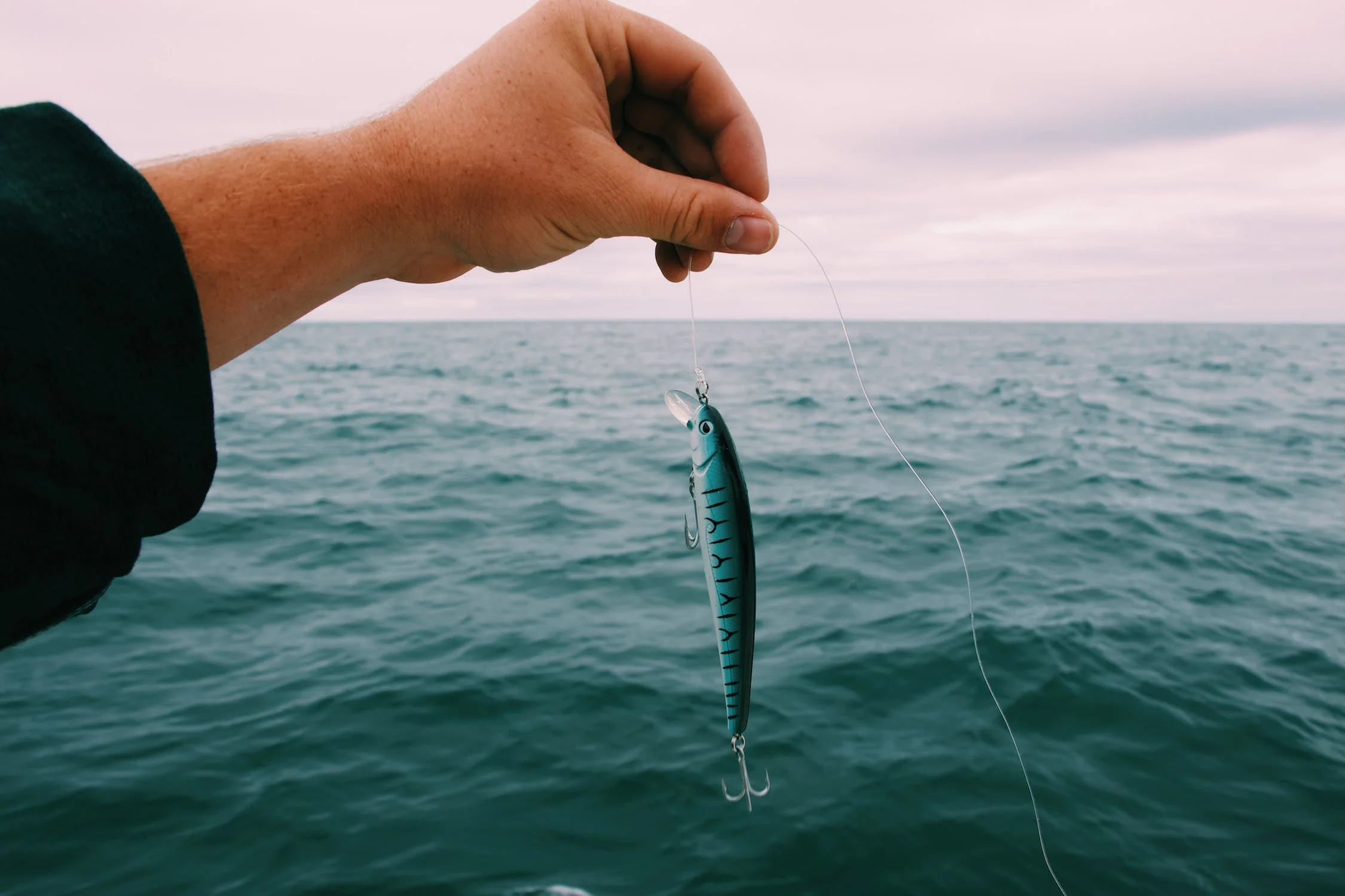 Catch Inshore Fish, Wounded Bait Fish, Inshore Game Fish