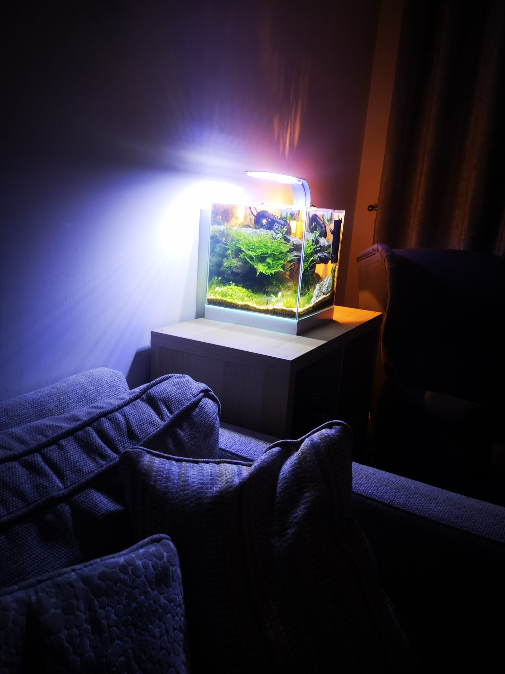 Take proper lighting into consideration