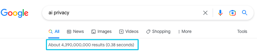 4,390,000,000 search results on Google for the term "ai privacy"