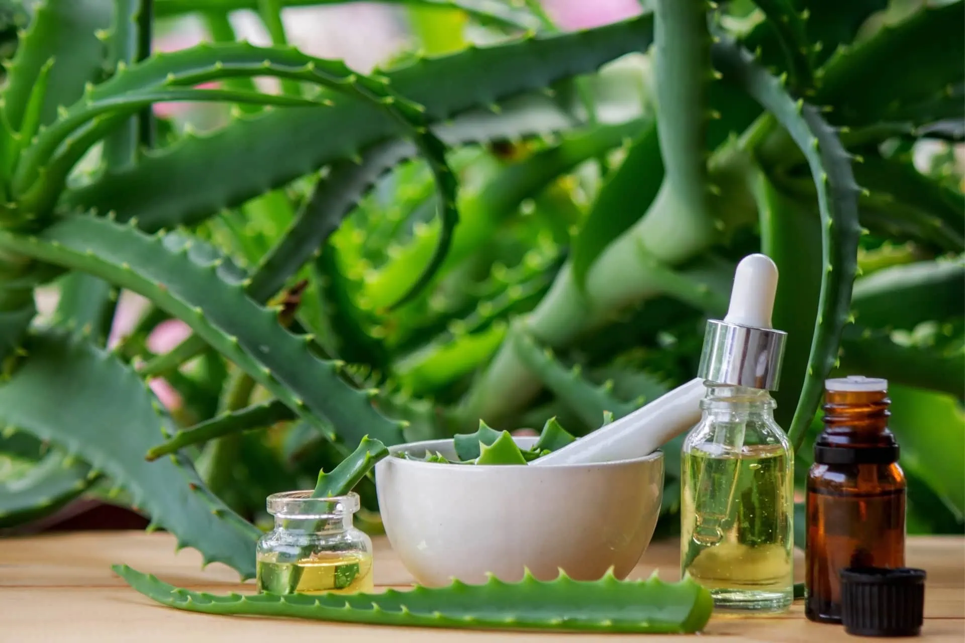 Natürliche Hausmittel gegen Haarausfall - Apfeöessig, Olivenöl, Kokosöl, Aloe Vera und Brennnesselspülung