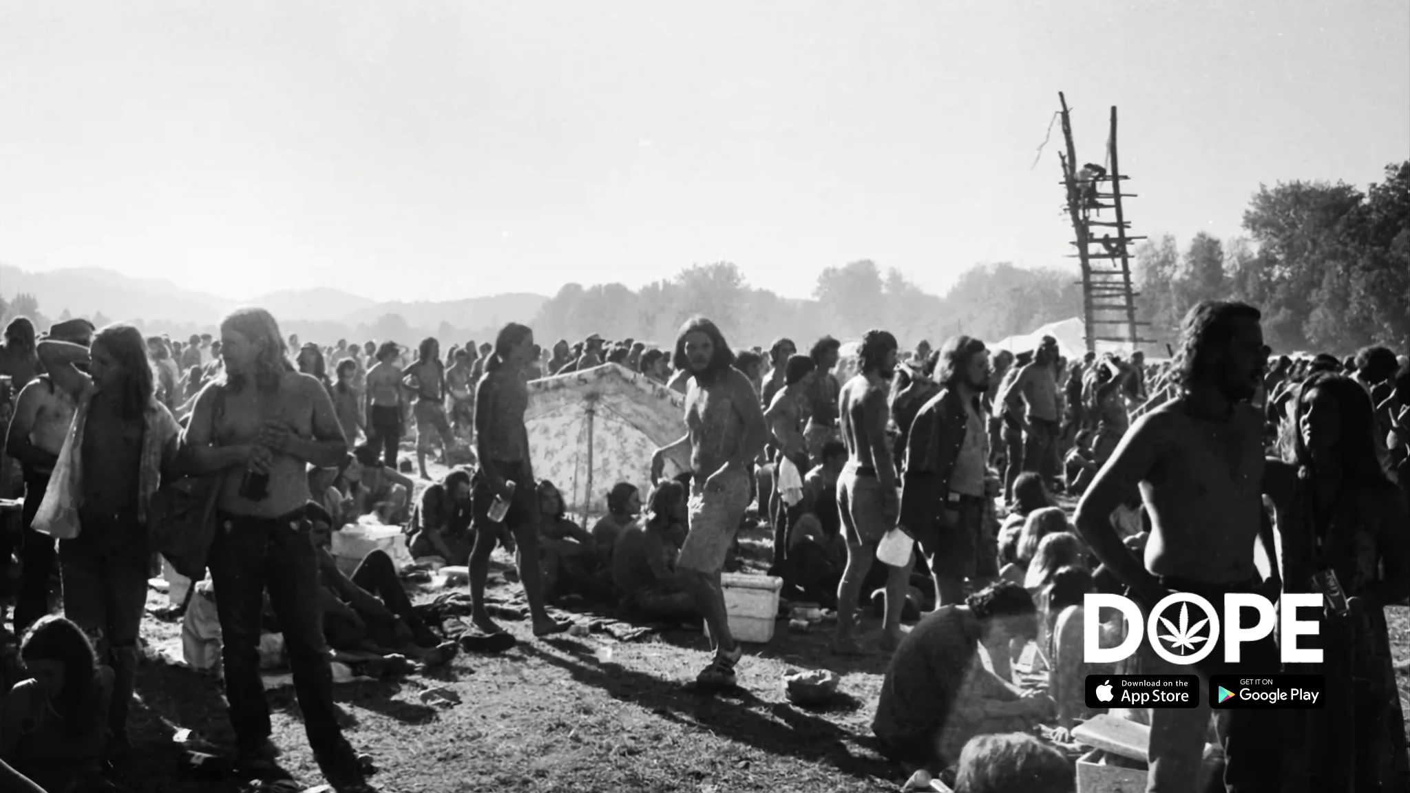 A lively scene from a Grateful Dead concert, representing Chemdawg's place in the cannabis community.