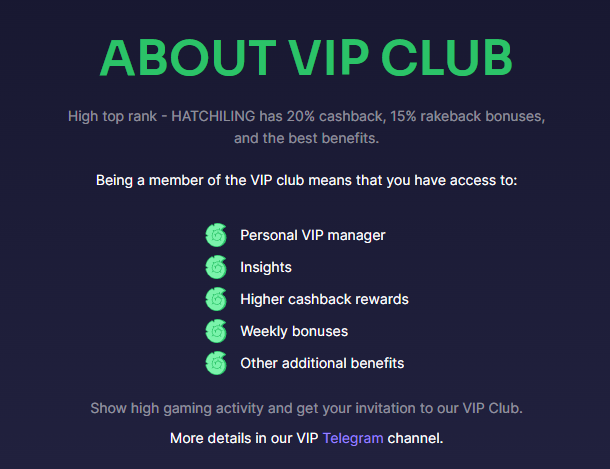 About VIP Club at BinoBet Casino