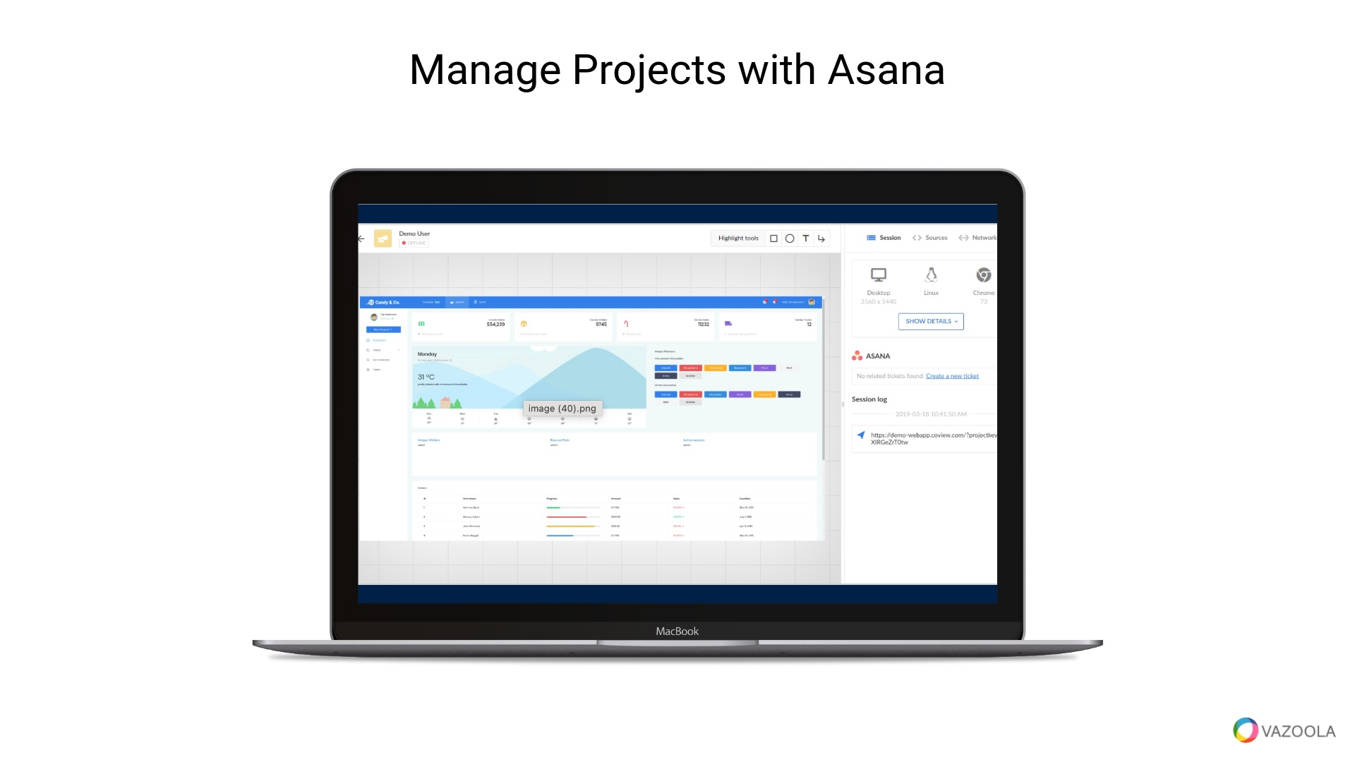 Manage Projects with ASANA