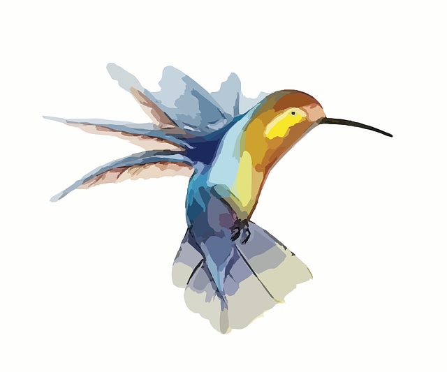 bird, hummingbird, wings