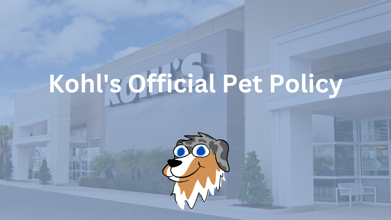 Image Text: "Kohl's Official Pet Policy"