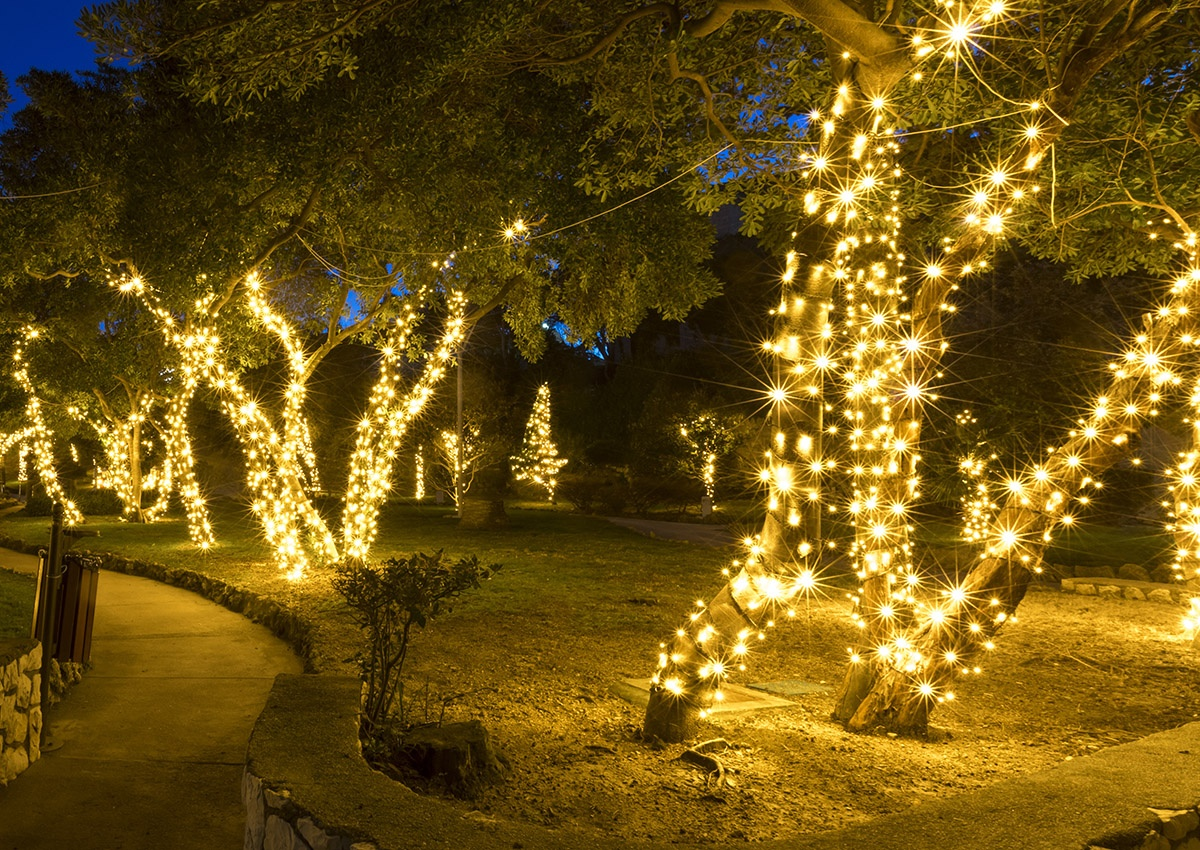 lighting around outdoor tree