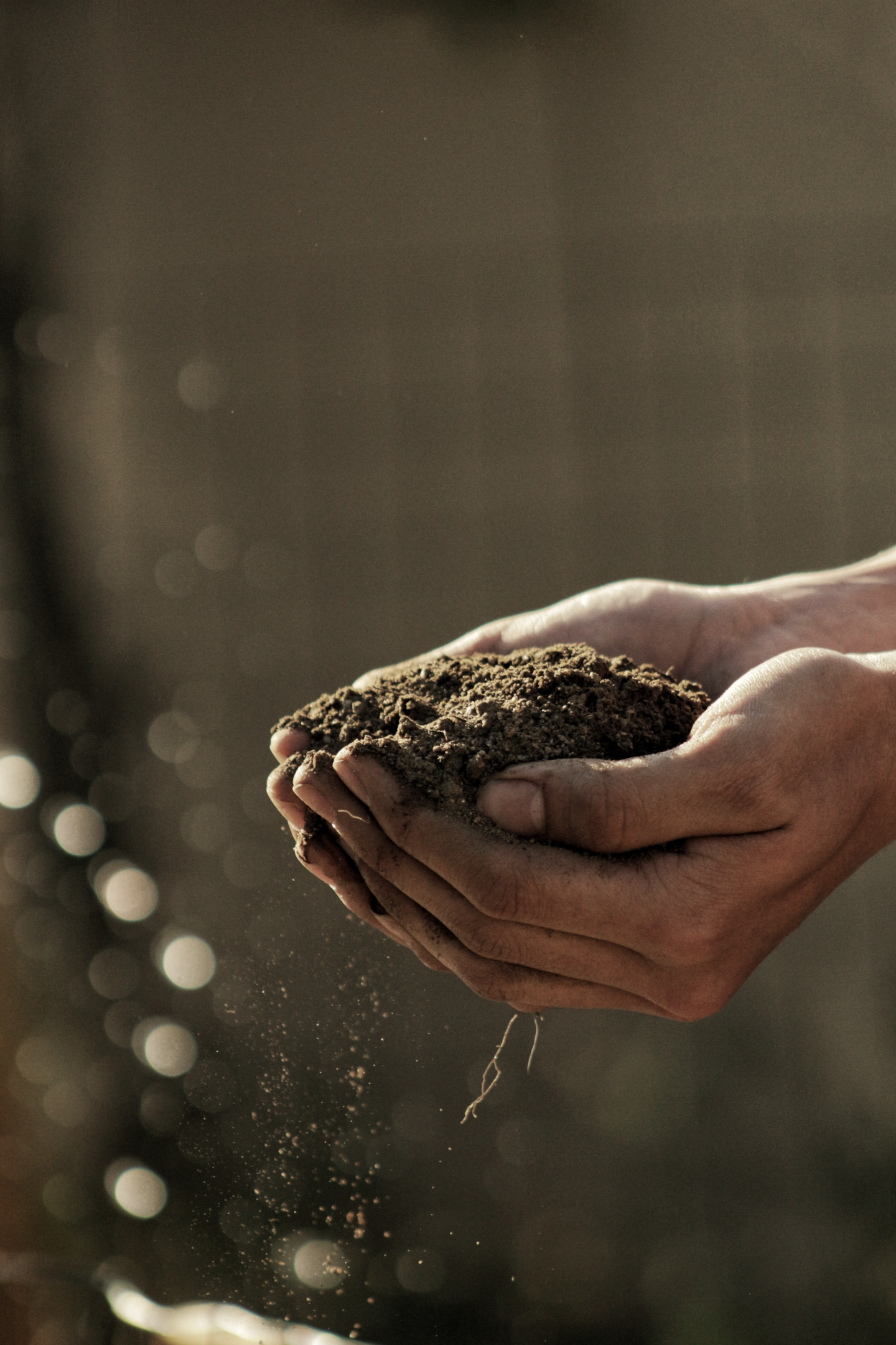 Il compost è ricco in nutrienti che favoriscono la fertilizzazione dei campi e contribuiscono a combattere l'impoverimento del suolo