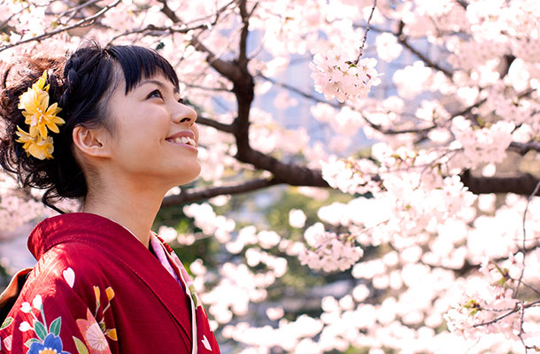  Symbolic Significance of Cherry Blossom in Japan
