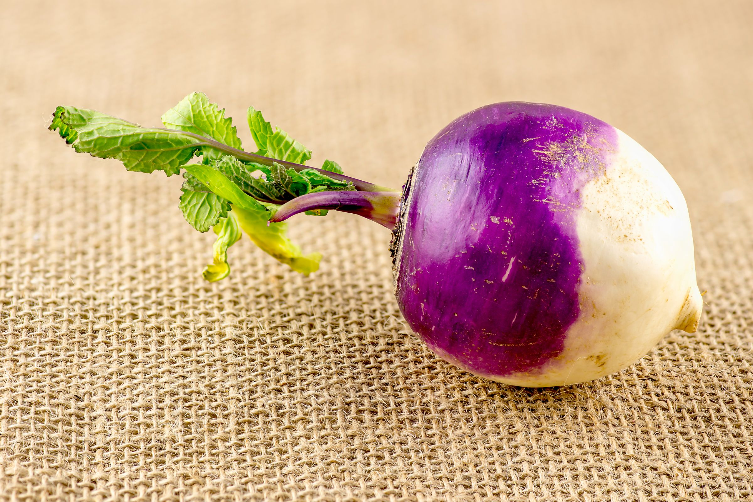 eat turnip