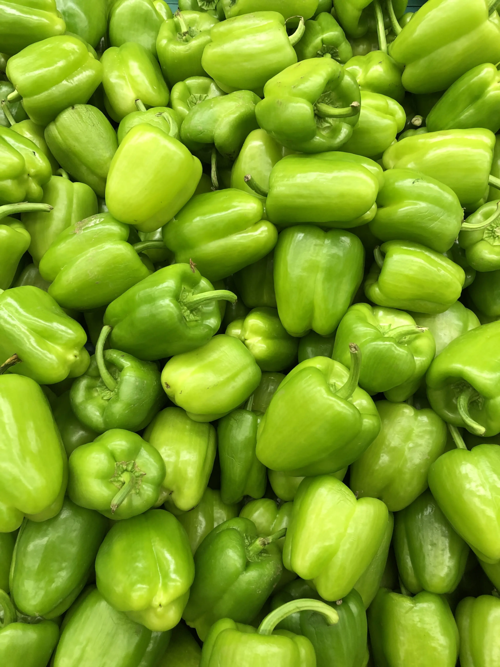 Green Bell Peppers
