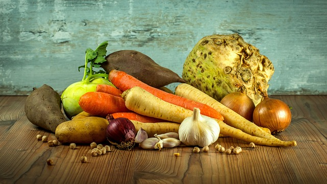raw food diet for puppies