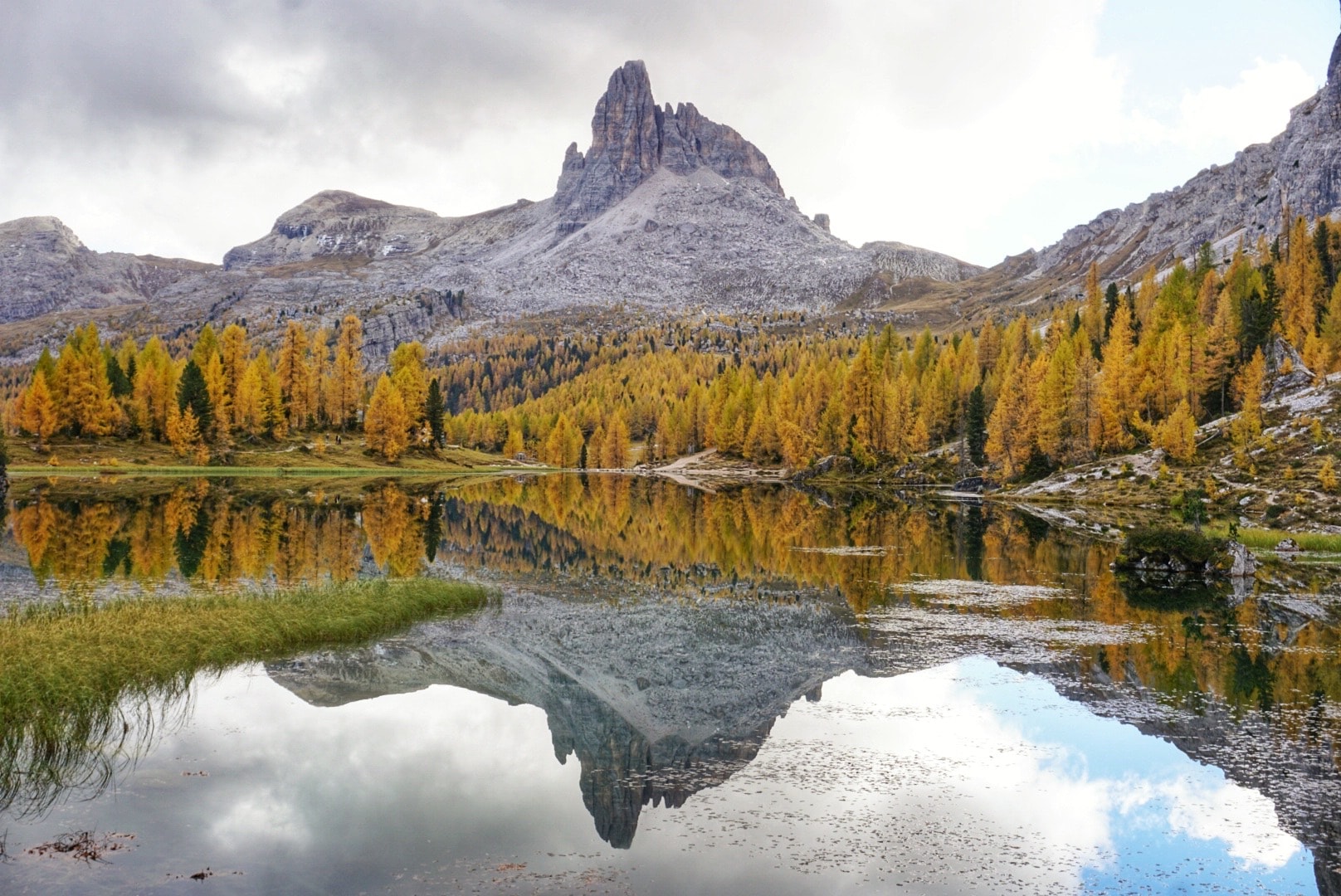 Fall colors and trees at Lago de Federa in the Dolomites, Italy