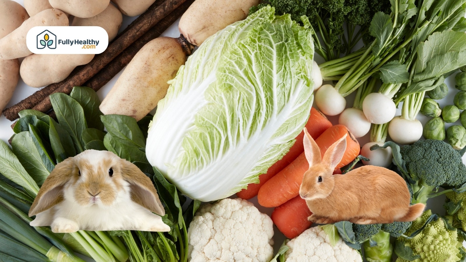 Napa cabbage with assorted vegetables and two rabbits on display