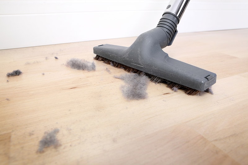 health risks of household dust