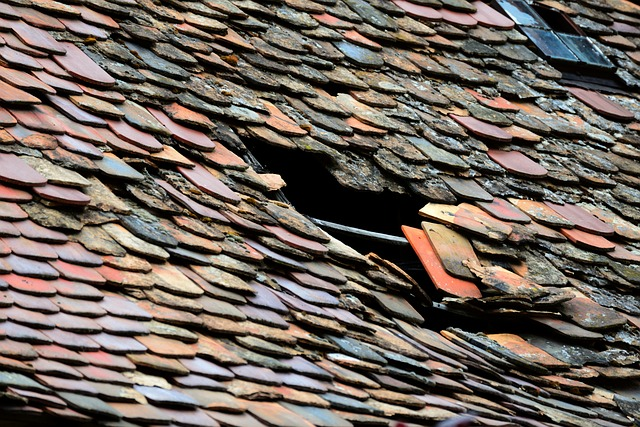 roofing issues, damaged roof and damaged shingles. 