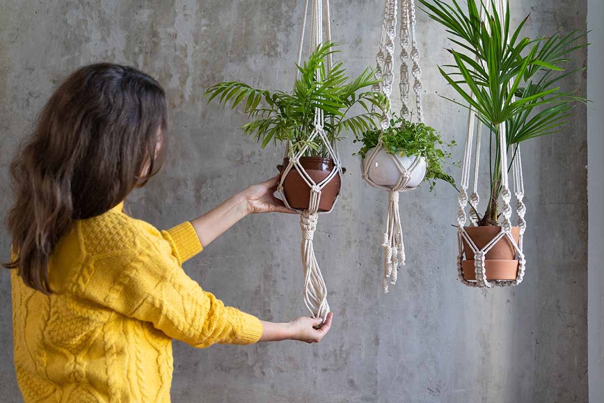 Selecting the Right Hanging Plant Pots