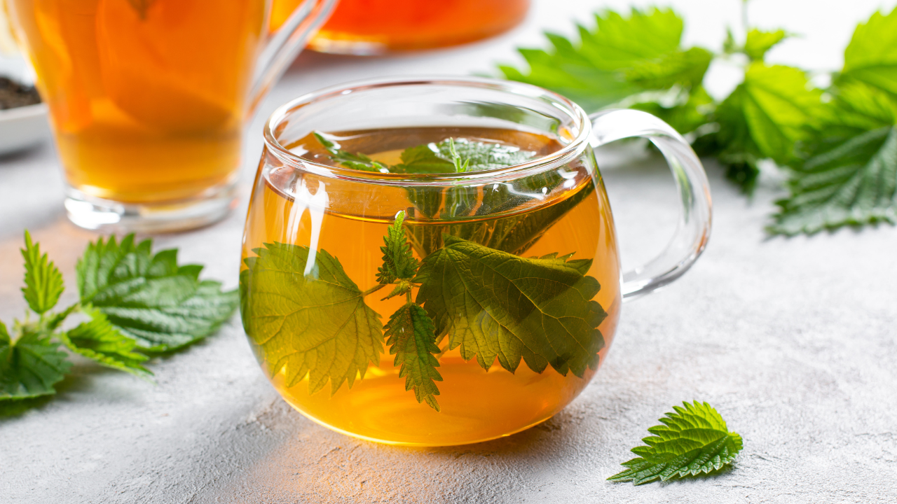 traditional herbs for womb health