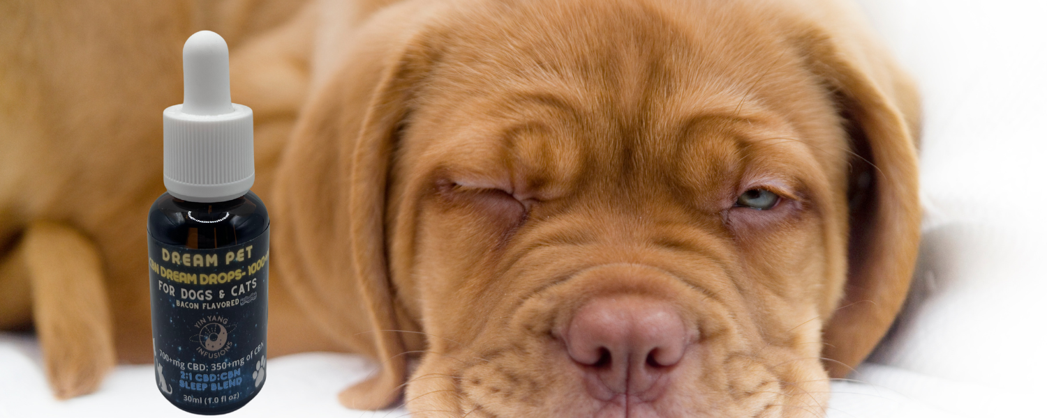 "Say goodbye to restless nights - our CBN hemp oil tincture can help your pet sleep better!