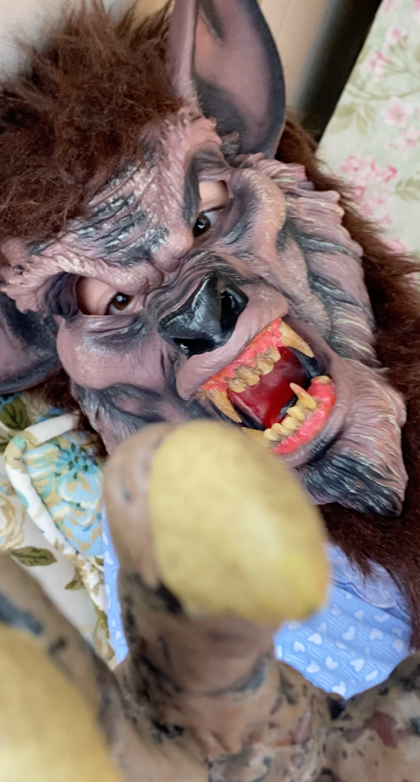 My son in costume as the big bad wolf