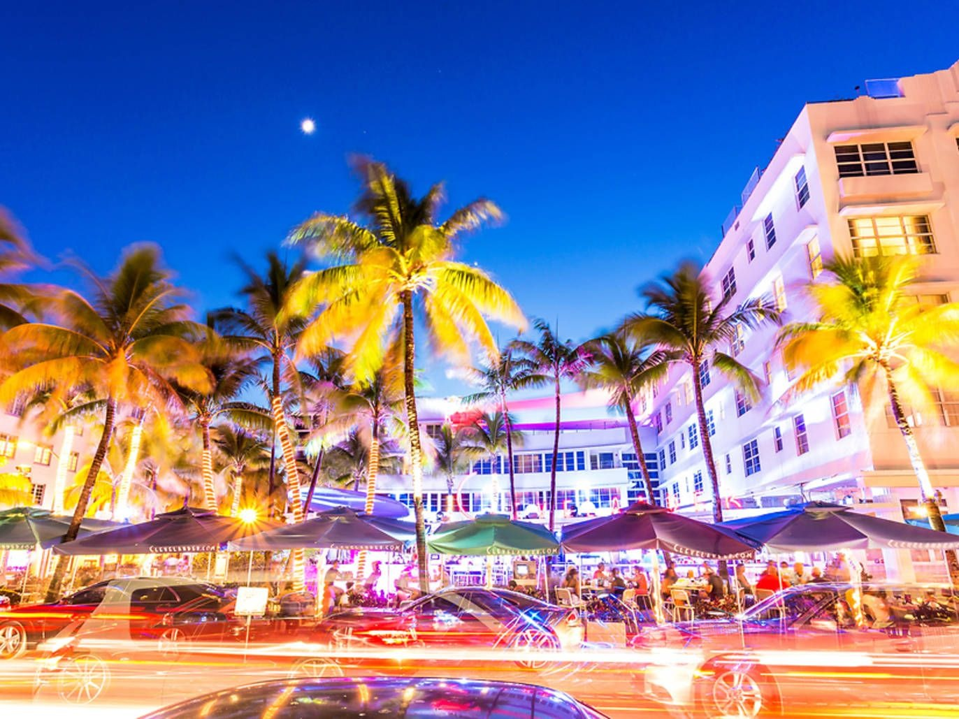 Miami lights