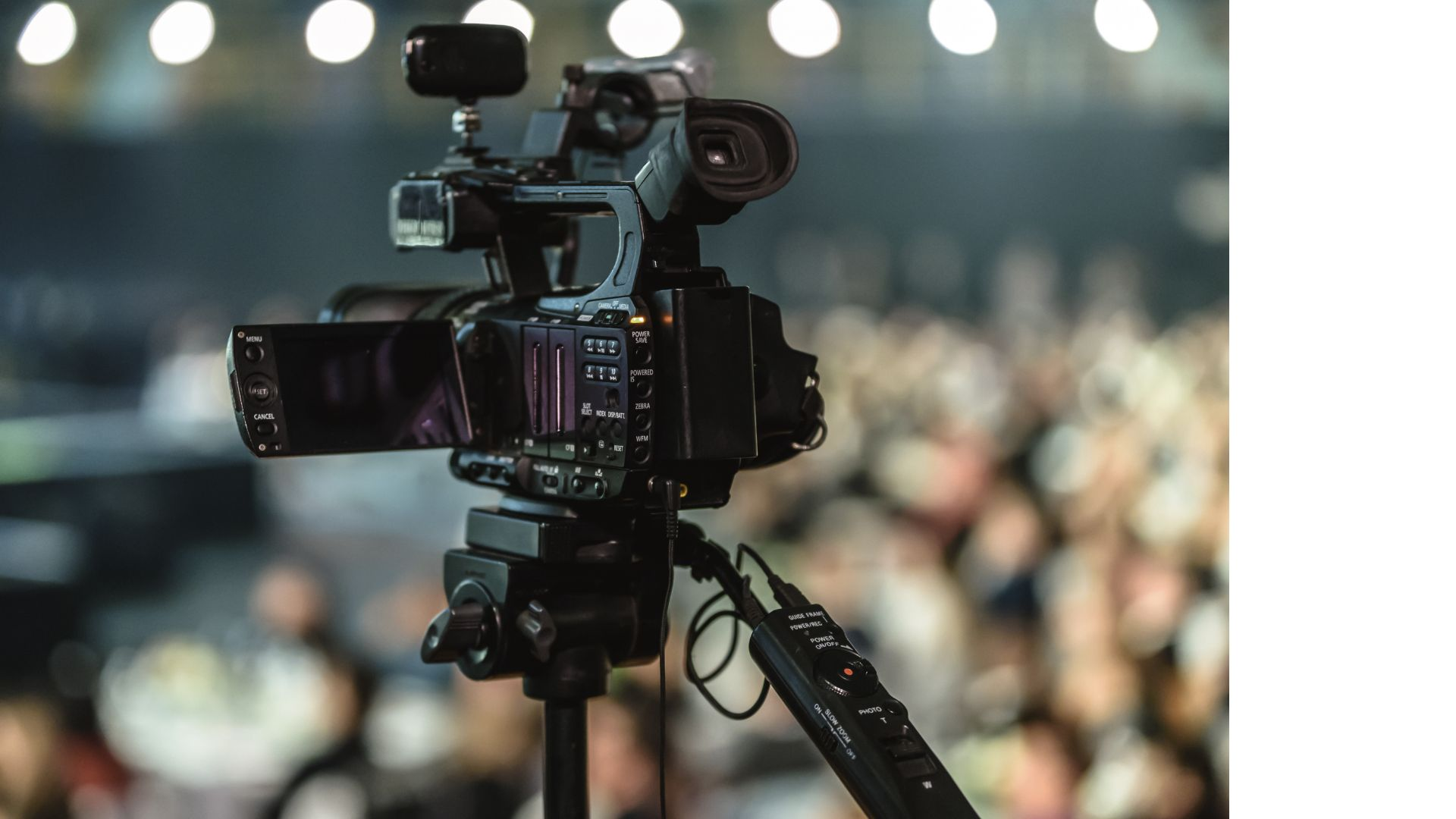 Live Stream