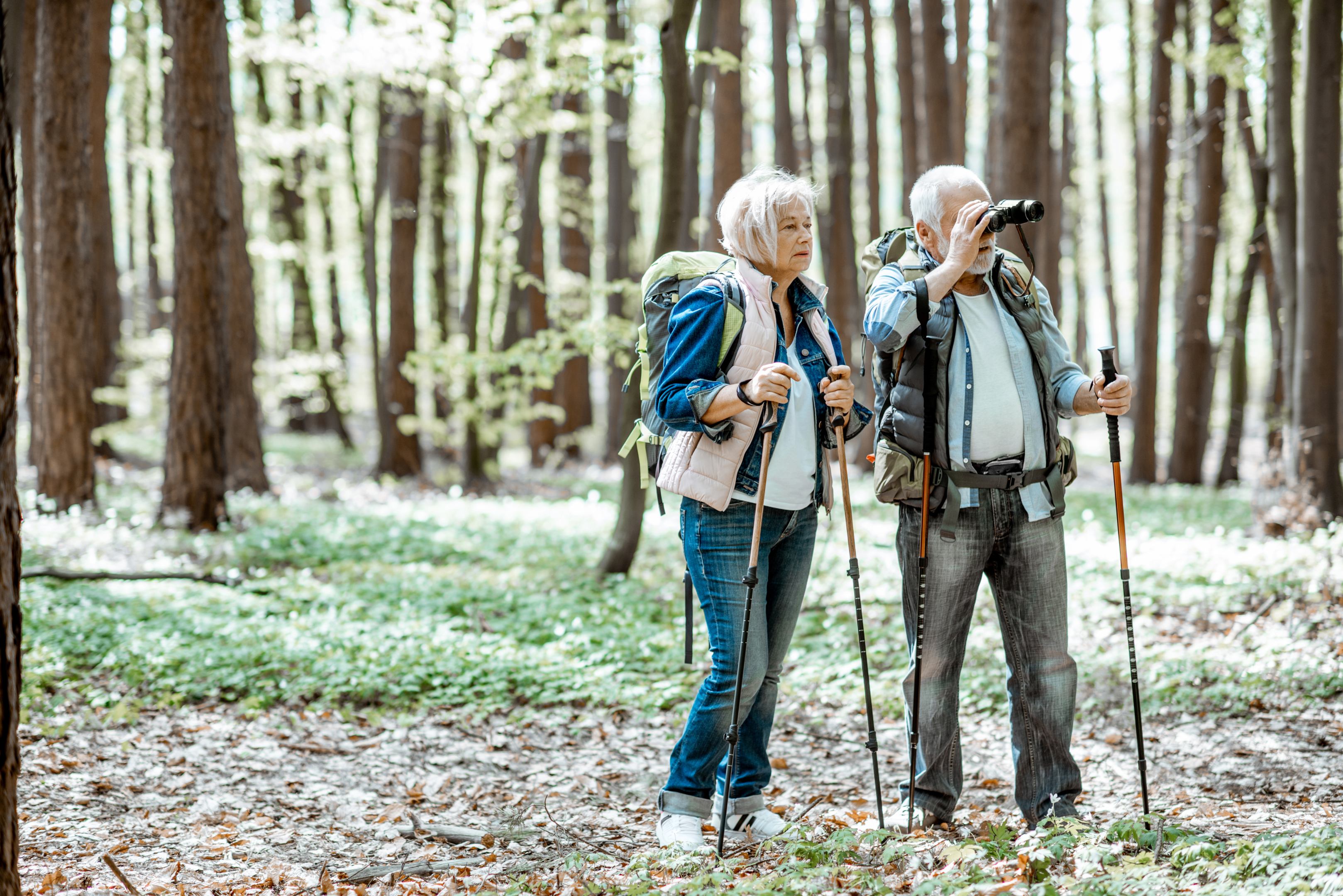 Image of a person on a hike walking a long distance