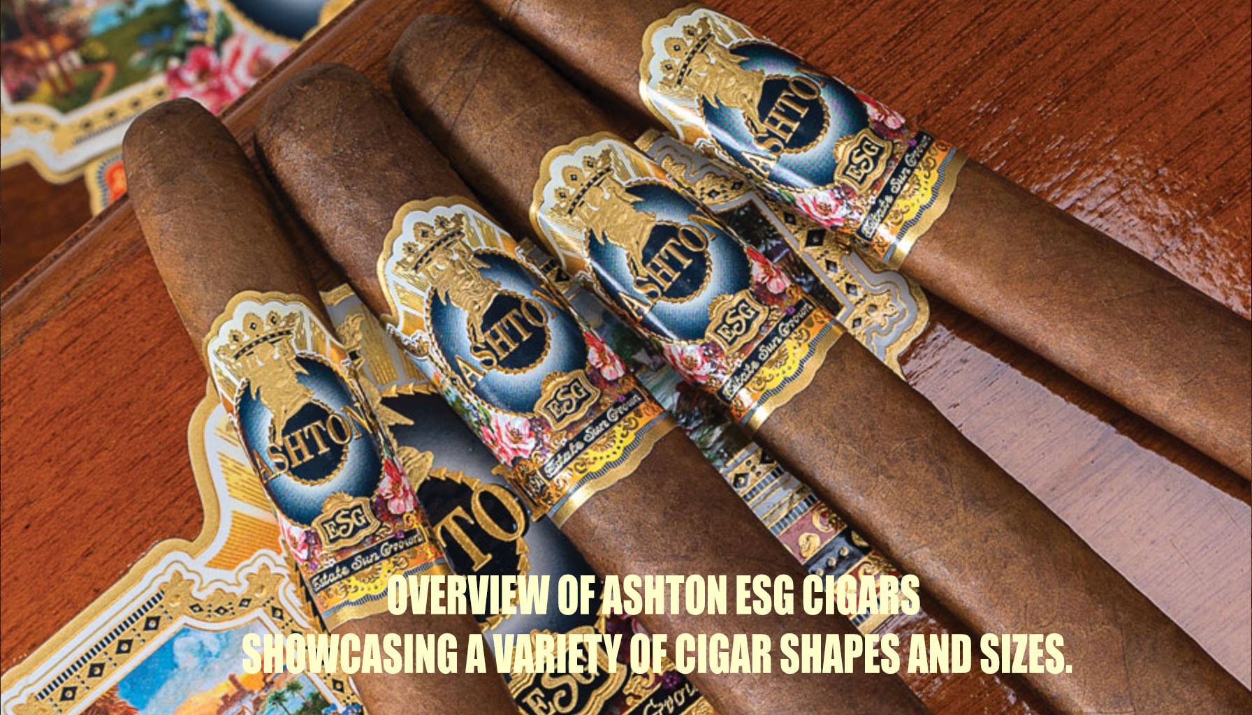 Overview of Ashton ESG cigars showcasing a variety of cigar shapes and sizes.