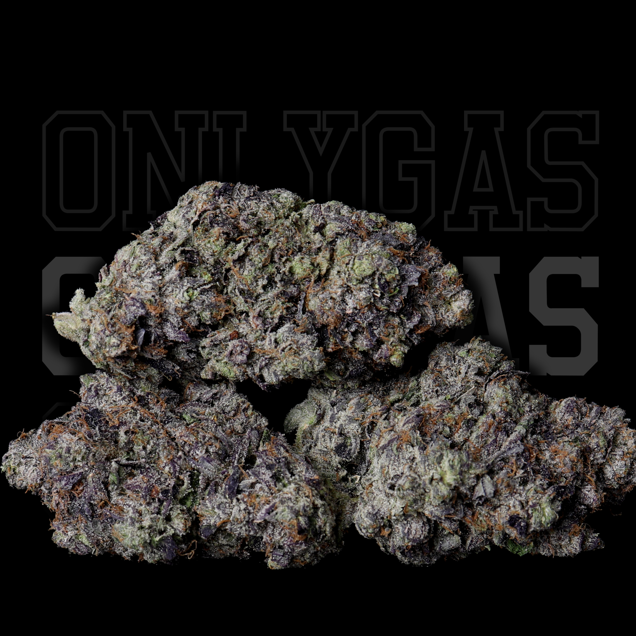 ONLYGAS' Pink Magoo, a popular Pink Kush variant 