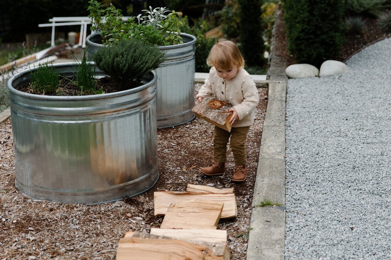 Tall raised beds of galvanized metal. Tall raised beds of galvanized metal.