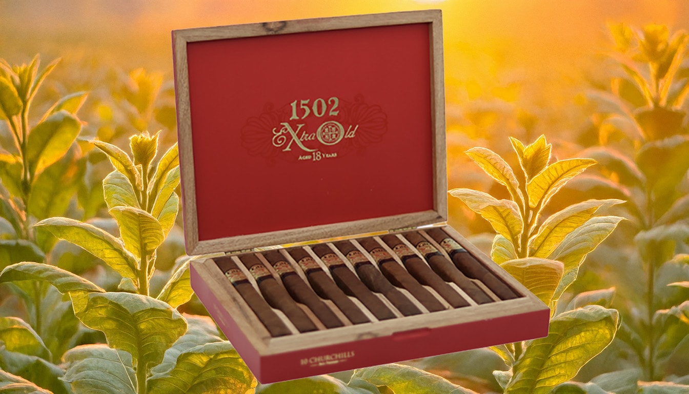 A display of limited edition cigars for collectors.