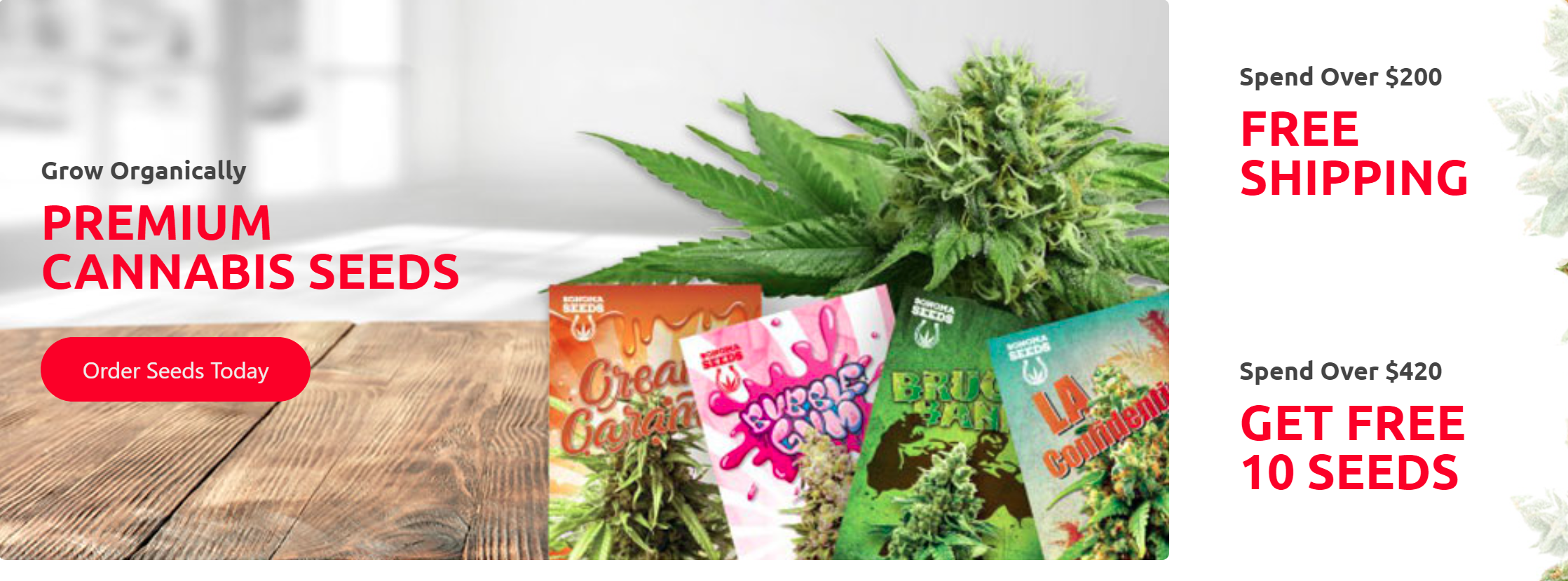 Win Free Cannabis Seeds When You Buy From Online Sellers