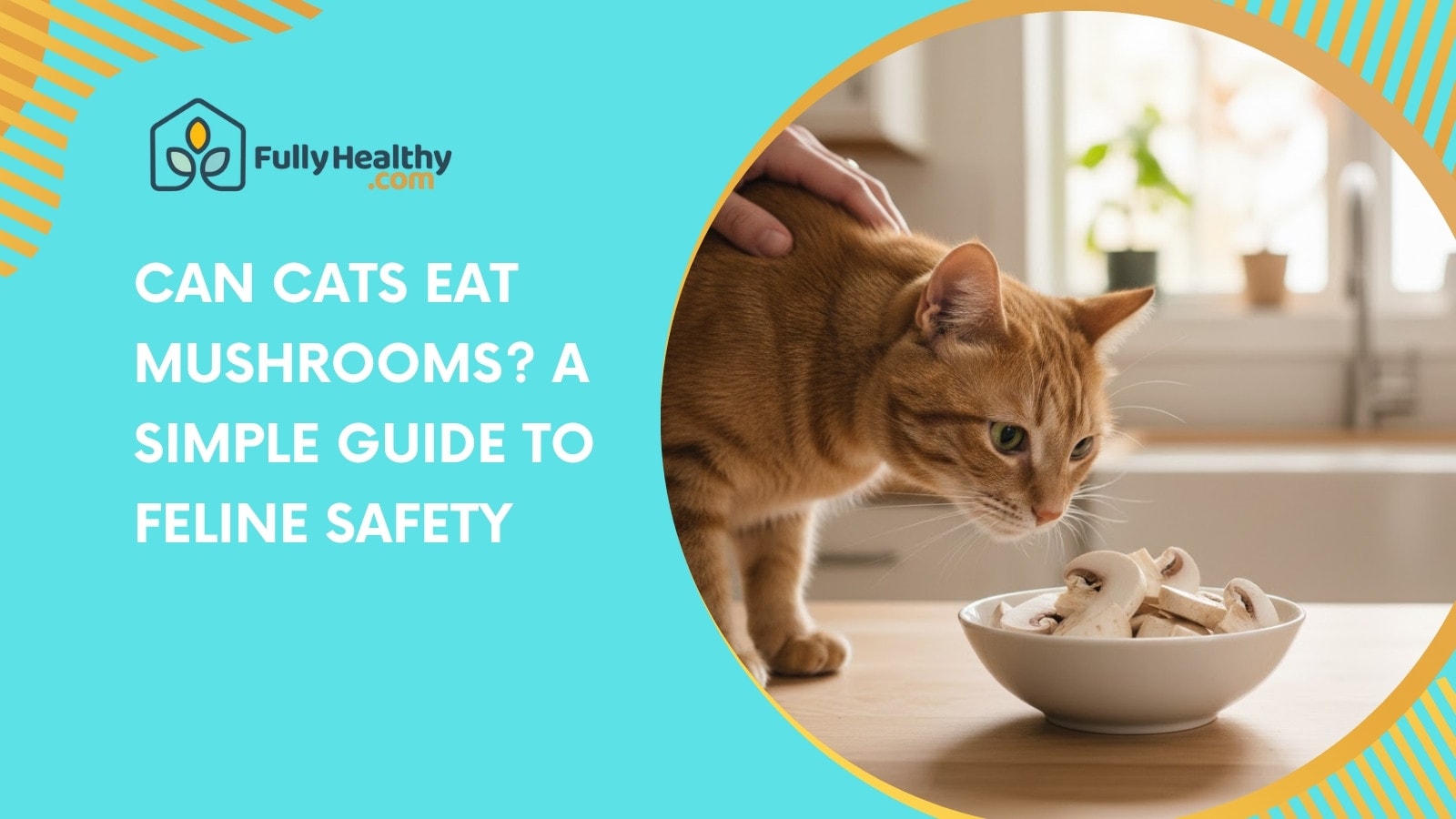 Can Cats Eat Mushrooms? A Simple Guide to Feline Safety