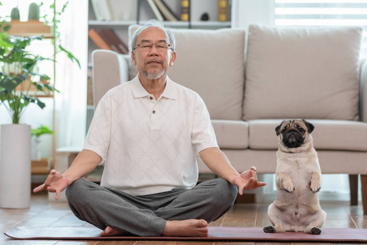 An elderly man and his pug sit in a meditation pose in a serene living room, exemplifying Tips for Beginners in Meditation for Dogs