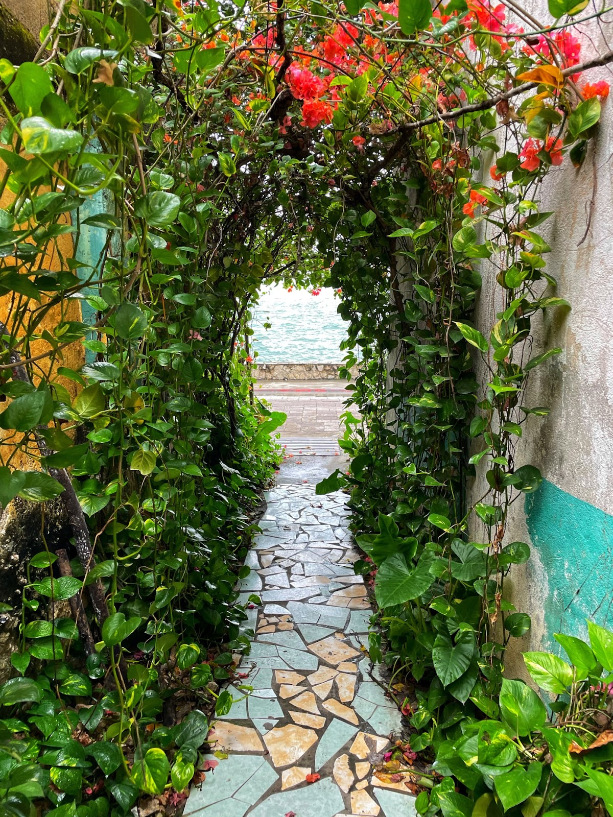 Flores Island is known for its colorful flowers