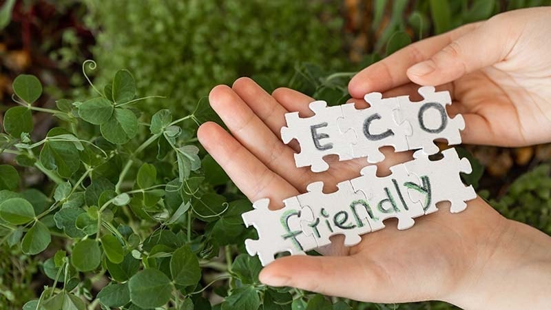 Eco-friendly text in hand