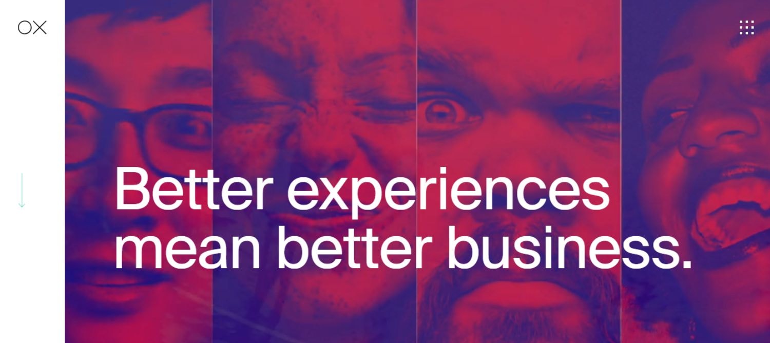The Office of Experience (OX)