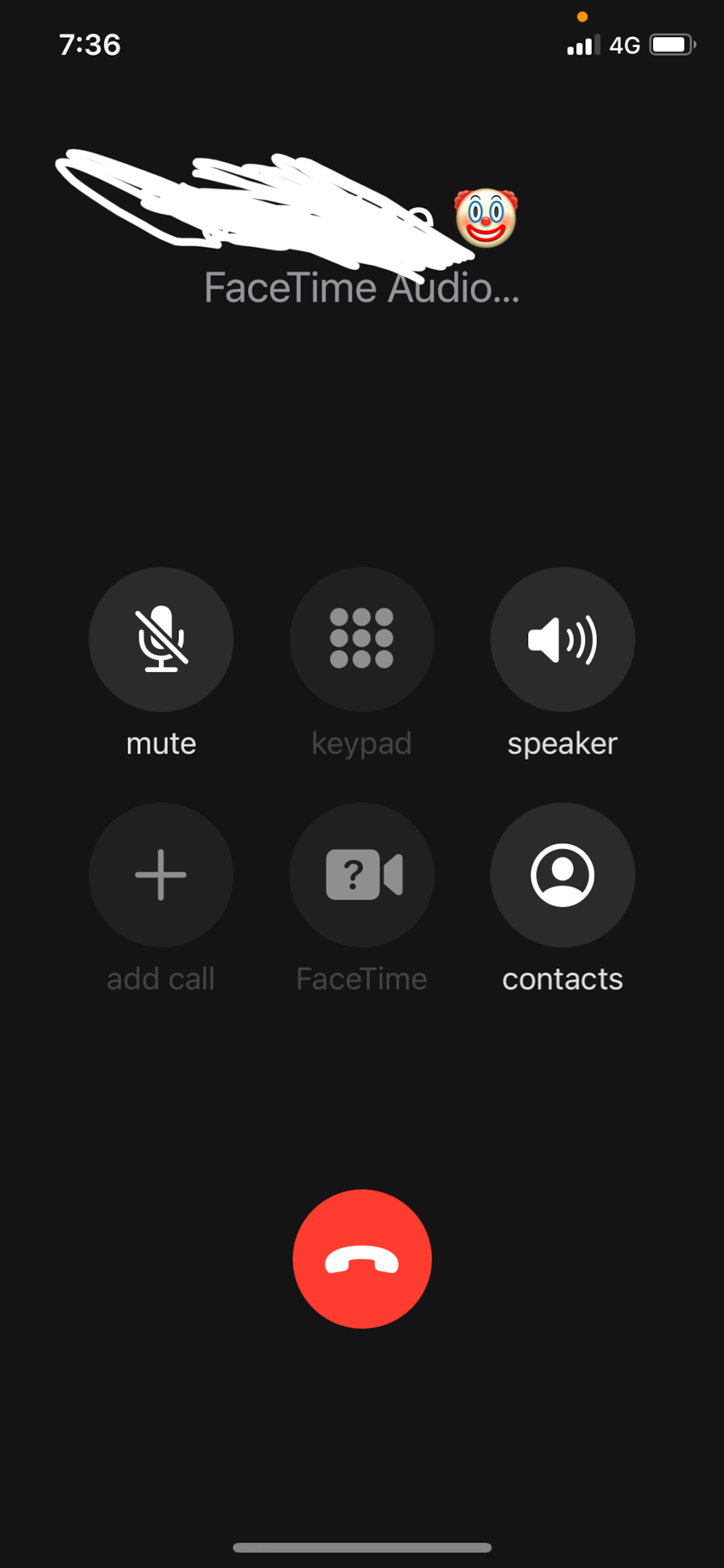 Screenshot of audio FaceTime call