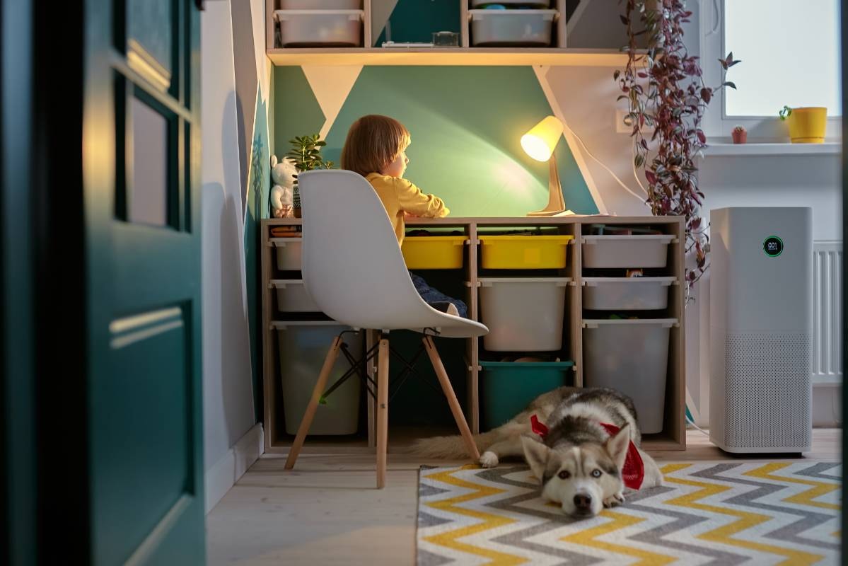 A child is sitting at a desk in a cozy room with a dog resting on the floor and an air purifier beside them, emphasizing to Use an Air Purifier for Dog