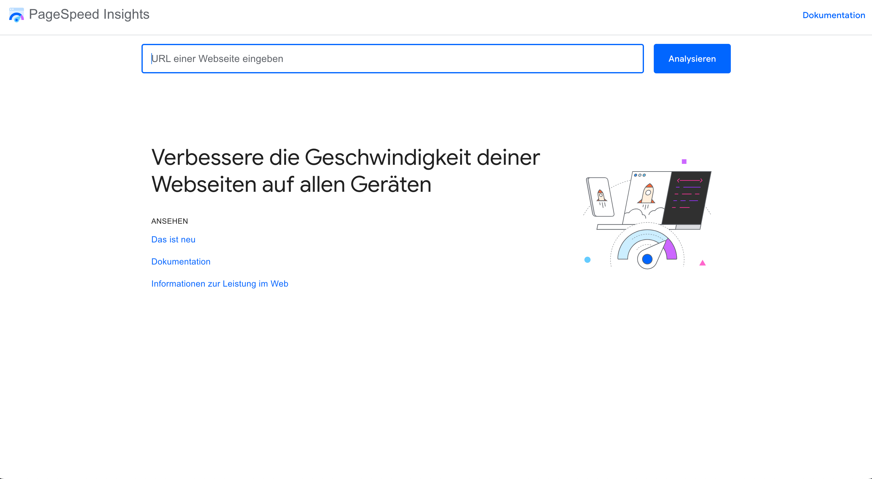 Screenshot Google PageSpeed Insights