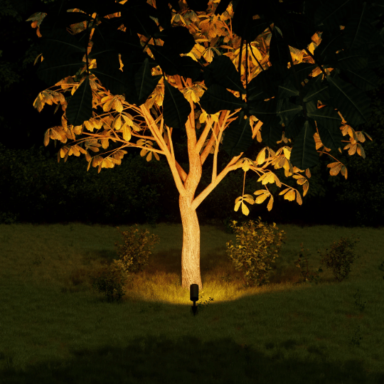 Tree illuminated at night with a warm spotlight from the ground, highlighting the trunk and branches against a dark background.
