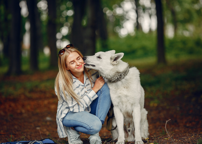 A dog licking its owner's ear