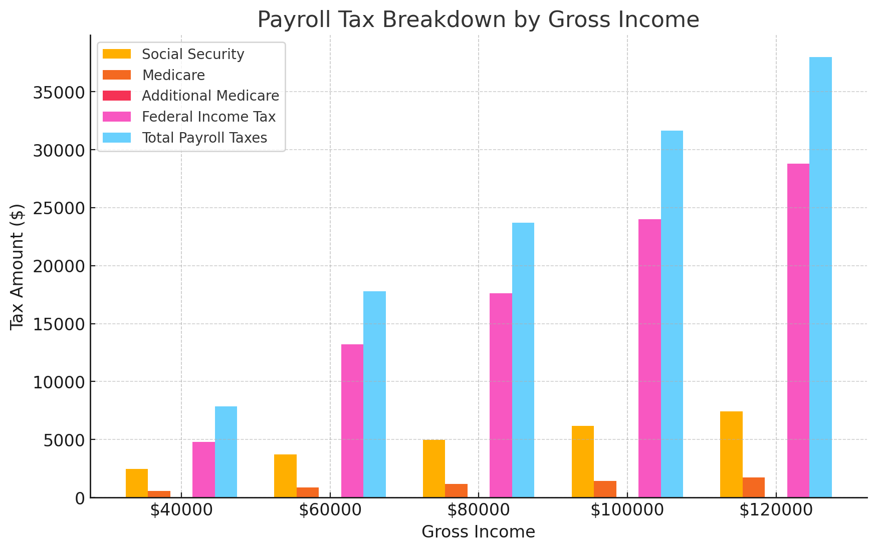 Payroll tax breakdown by gross income