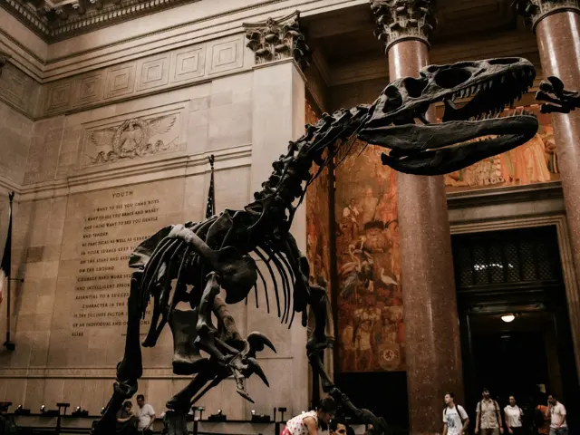 New York with Kids - American Museum of Natural History