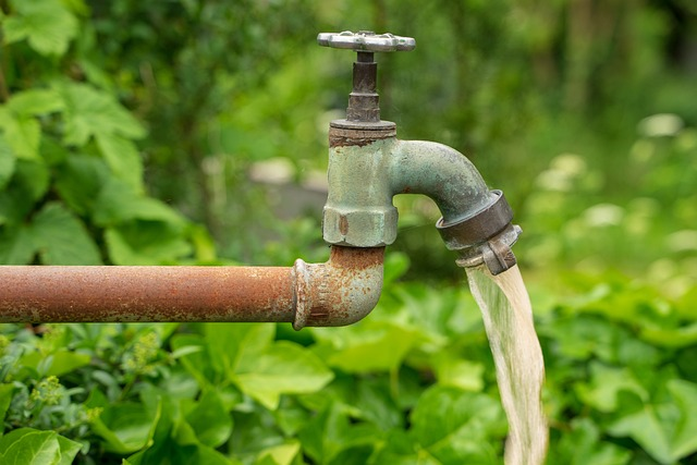 water tap, water, garden